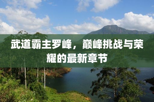 武道霸主羅峰，巔峰挑戰(zhàn)與榮耀的最新章節(jié)