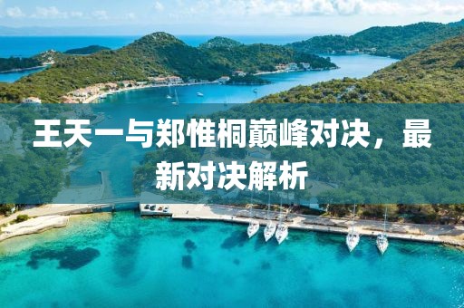 王天一與鄭惟桐巔峰對決，最新對決解析