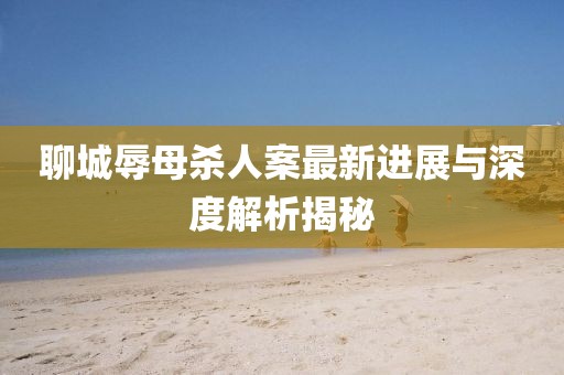 聊城辱母殺人案最新進(jìn)展與深度解析揭秘