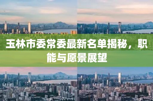 玉林市委常委最新名單揭秘，職能與愿景展望