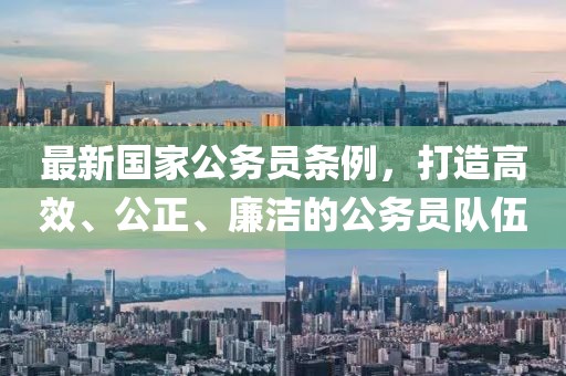 最新國(guó)家公務(wù)員條例，打造高效、公正、廉潔的公務(wù)員隊(duì)伍