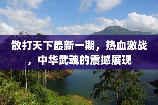 散打天下最新一期，熱血激戰(zhàn)，中華武魂的震撼展現(xiàn)
