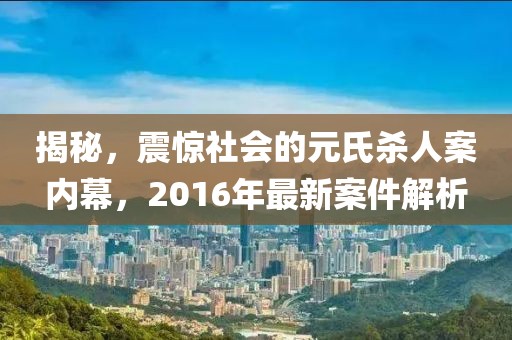 揭秘，震驚社會(huì)的元氏殺人案內(nèi)幕，2016年最新案件解析