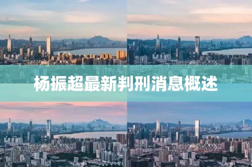 楊振超最新判刑消息概述