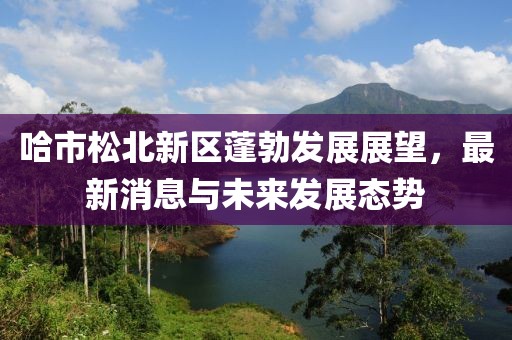 哈市松北新區(qū)蓬勃發(fā)展展望，最新消息與未來發(fā)展態(tài)勢