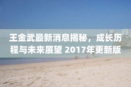 王金武最新消息揭秘，成長歷程與未來展望 2017年更新版