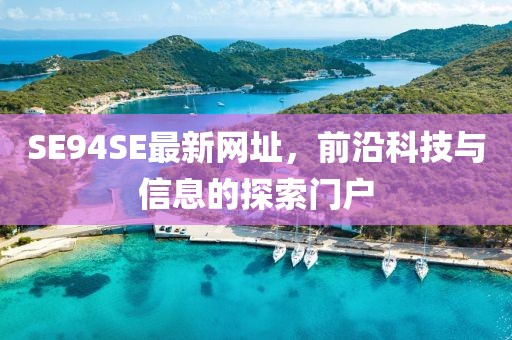 SE94SE最新網(wǎng)址，前沿科技與信息的探索門(mén)戶(hù)