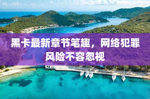 黑卡最新章節(jié)筆趣，網(wǎng)絡犯罪風險不容忽視