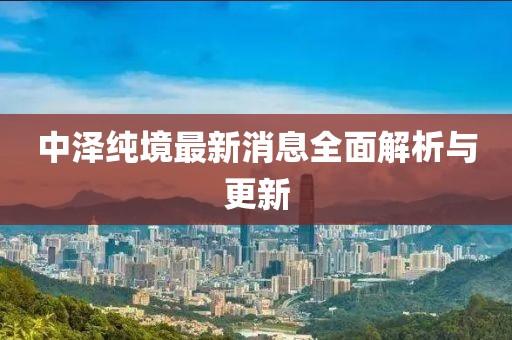 中澤純境最新消息全面解析與更新
