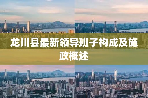 龍川縣最新領(lǐng)導(dǎo)班子構(gòu)成及施政概述