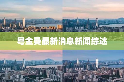 粵金曼最新消息新聞綜述