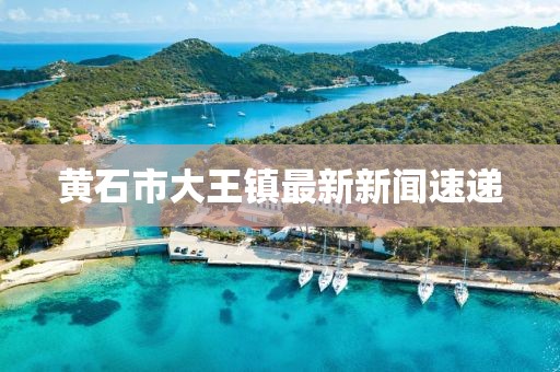 黃石市大王鎮(zhèn)最新新聞速遞