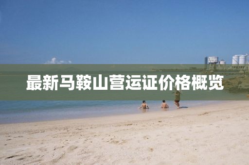 最新馬鞍山營(yíng)運(yùn)證價(jià)格概覽