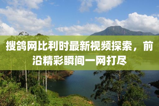 搜鴿網(wǎng)比利時(shí)最新視頻探索，前沿精彩瞬間一網(wǎng)打盡