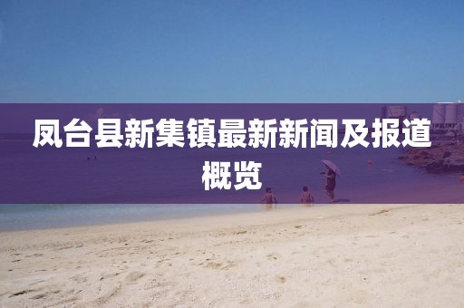 鳳臺(tái)縣新集鎮(zhèn)最新新聞及報(bào)道概覽