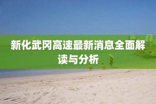 新化武岡高速最新消息全面解讀與分析