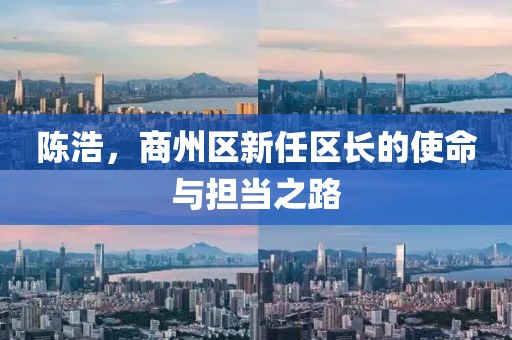 陳浩，商州區(qū)新任區(qū)長(zhǎng)的使命與擔(dān)當(dāng)之路