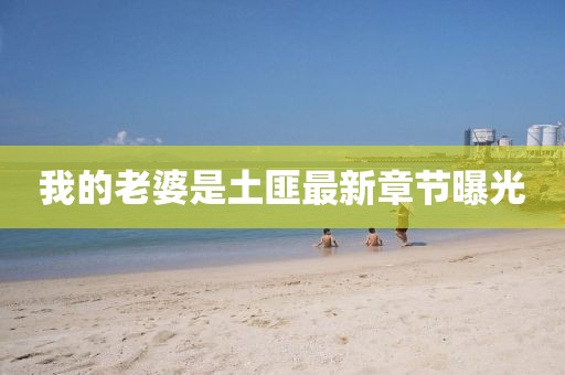 我的老婆是土匪最新章節(jié)曝光