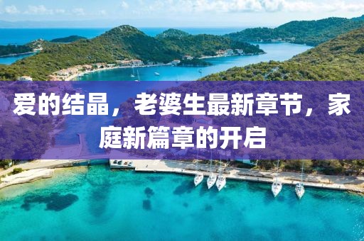 愛的結(jié)晶，老婆生最新章節(jié)，家庭新篇章的開啟