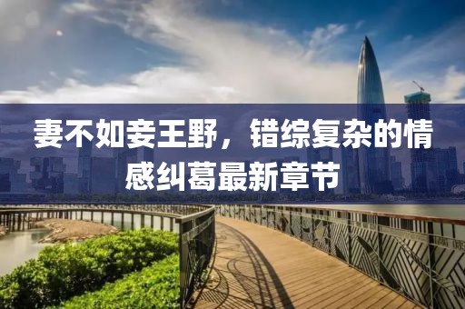 寰鸞 第11頁(yè)