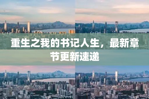 重生之我的書記人生，最新章節(jié)更新速遞
