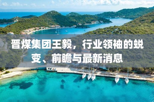 晉煤集團王毅，行業(yè)領袖的蛻變、前瞻與最新消息