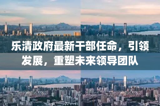 樂(lè)清政府最新干部任命，引領(lǐng)發(fā)展，重塑未來(lái)領(lǐng)導(dǎo)團(tuán)隊(duì)