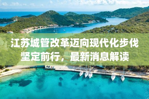 江蘇城管改革邁向現(xiàn)代化步伐堅定前行，最新消息解讀