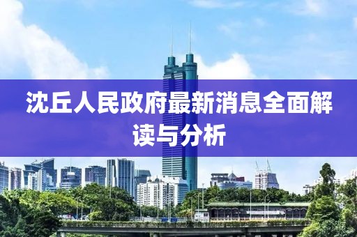 沈丘人民政府最新消息全面解讀與分析