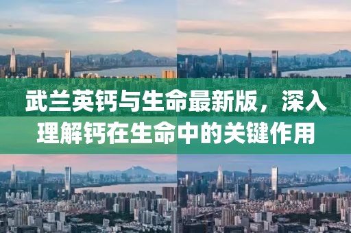 武蘭英鈣與生命最新版，深入理解鈣在生命中的關(guān)鍵作用