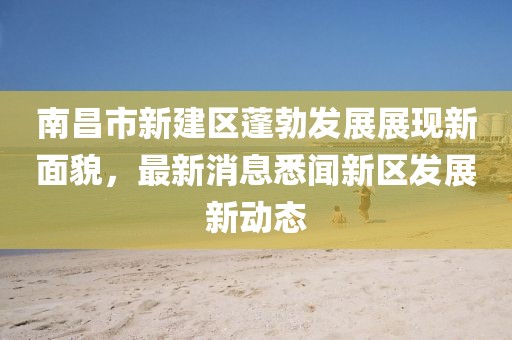 南昌市新建區(qū)蓬勃發(fā)展展現(xiàn)新面貌，最新消息悉聞新區(qū)發(fā)展新動態(tài)