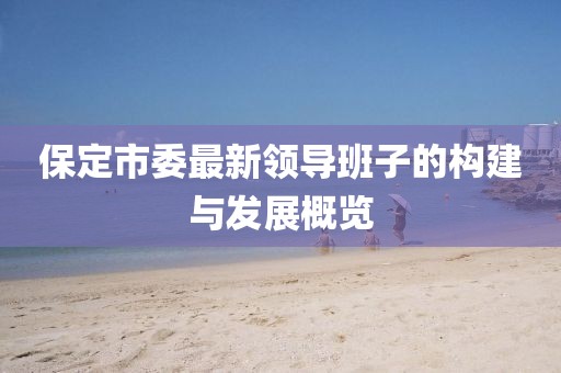 保定市委最新領(lǐng)導(dǎo)班子的構(gòu)建與發(fā)展概覽