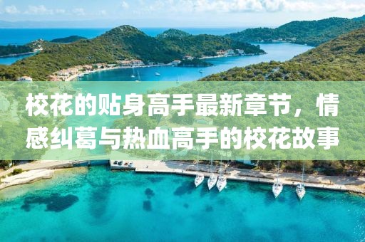 ?；ǖ馁N身高手最新章節(jié)，情感糾葛與熱血高手的?；ü适? width=