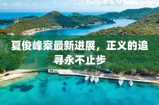 夏俊峰案最新進(jìn)展，正義的追尋永不止步
