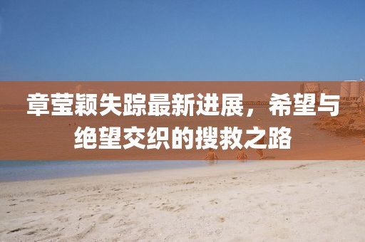 章瑩穎失蹤最新進(jìn)展，希望與絕望交織的搜救之路