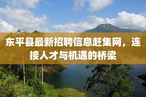東平縣最新招聘信息趕集網(wǎng)，連接人才與機(jī)遇的橋梁