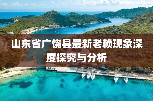 山東省廣饒縣最新老賴現(xiàn)象深度探究與分析