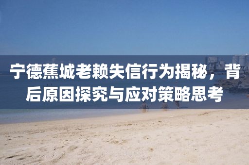 寧德蕉城老賴失信行為揭秘，背后原因探究與應(yīng)對(duì)策略思考