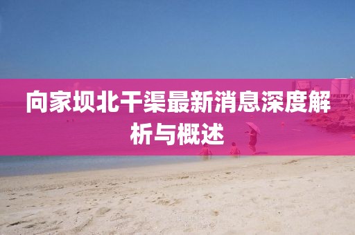 向家壩北干渠最新消息深度解析與概述