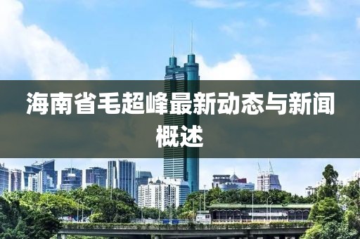 海南省毛超峰最新動(dòng)態(tài)與新聞概述
