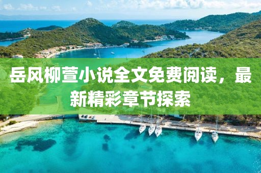 岳風柳萱小說全文免費閱讀，最新精彩章節(jié)探索