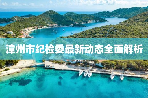 漳州市紀(jì)檢委最新動態(tài)全面解析