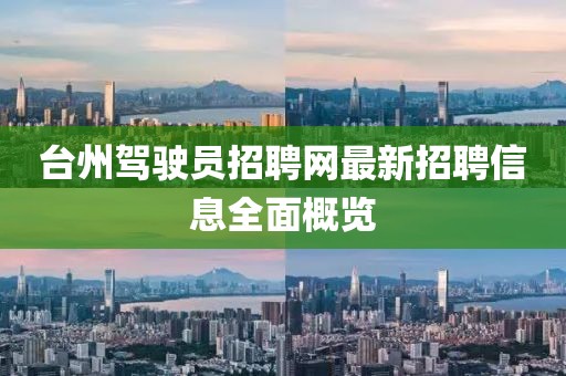 臺(tái)州駕駛員招聘網(wǎng)最新招聘信息全面概覽