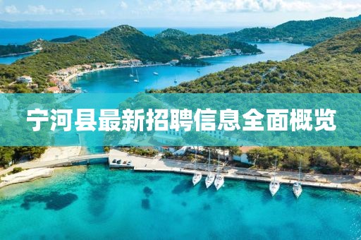 寧河縣最新招聘信息全面概覽