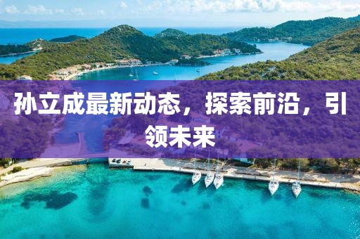 孫立成最新動態(tài)，探索前沿，引領未來