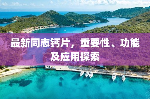 最新同志鈣片，重要性、功能及應(yīng)用探索