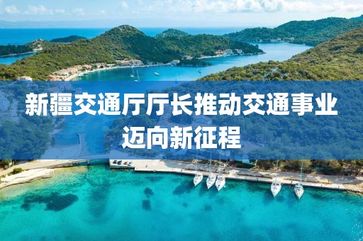 新疆交通廳廳長推動(dòng)交通事業(yè)邁向新征程