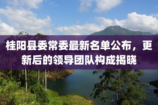 桂陽縣委常委最新名單公布，更新后的領(lǐng)導(dǎo)團(tuán)隊構(gòu)成揭曉