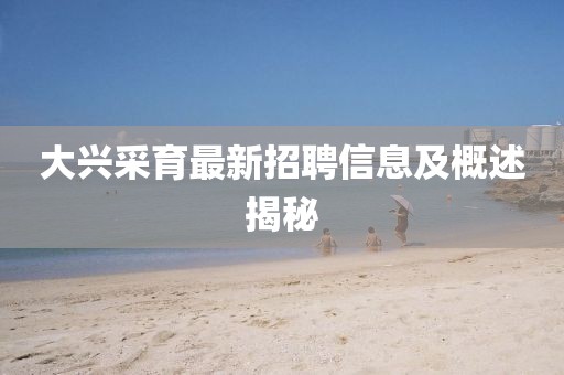 大興采育最新招聘信息及概述揭秘