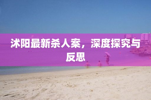 沭陽最新殺人案，深度探究與反思